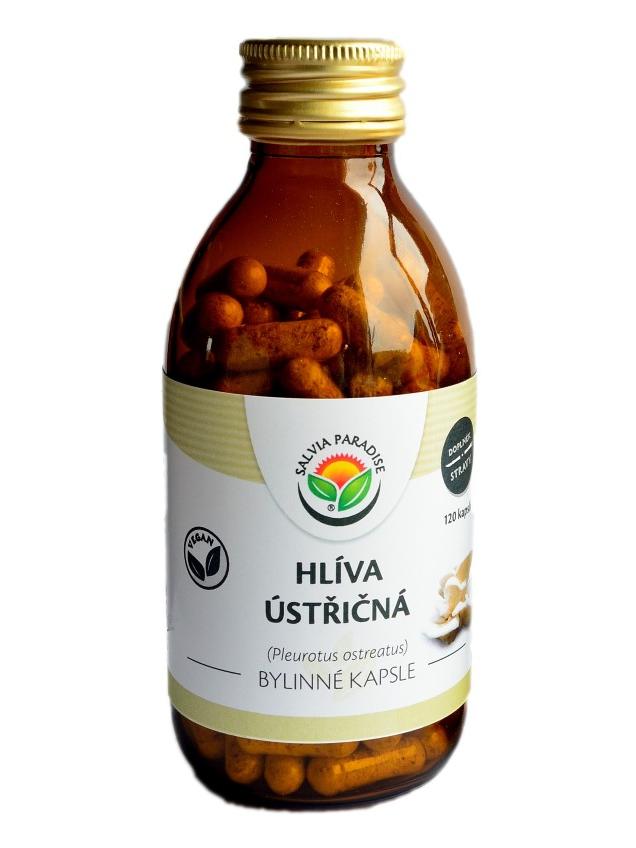 Hlíva ústřičná kapsle 120 ks