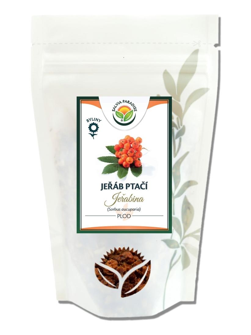 Jeřáb ptačí plod