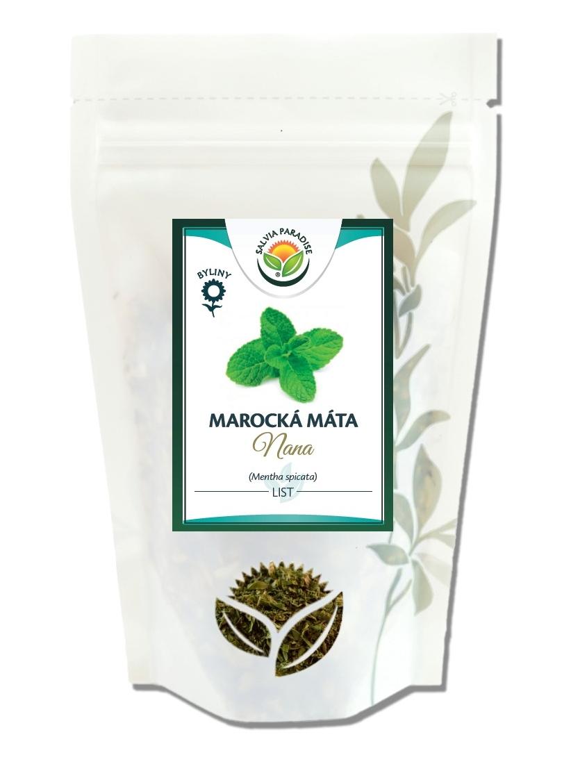 Marocká máta