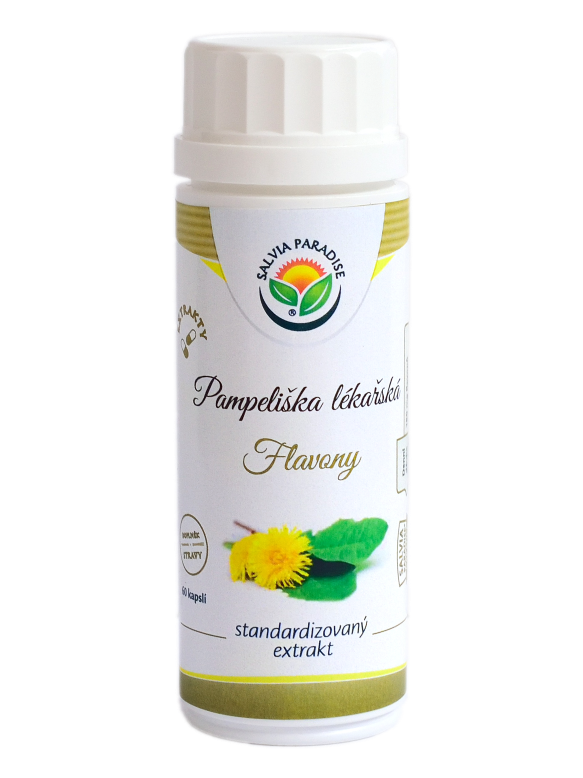 Pampeliška lékařská standardizovaný extrakt kapsle 60 ks
