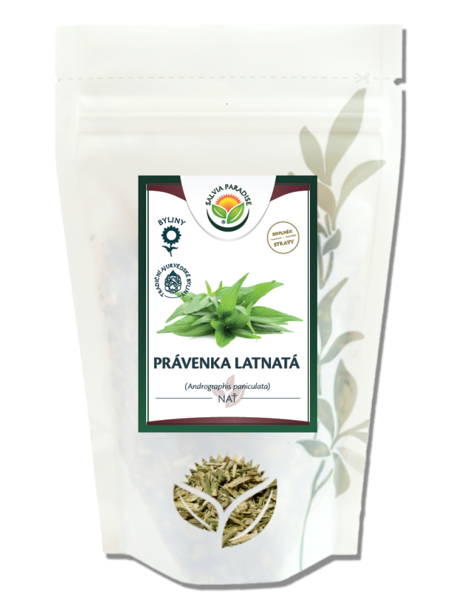 Právenka latnatá nať
