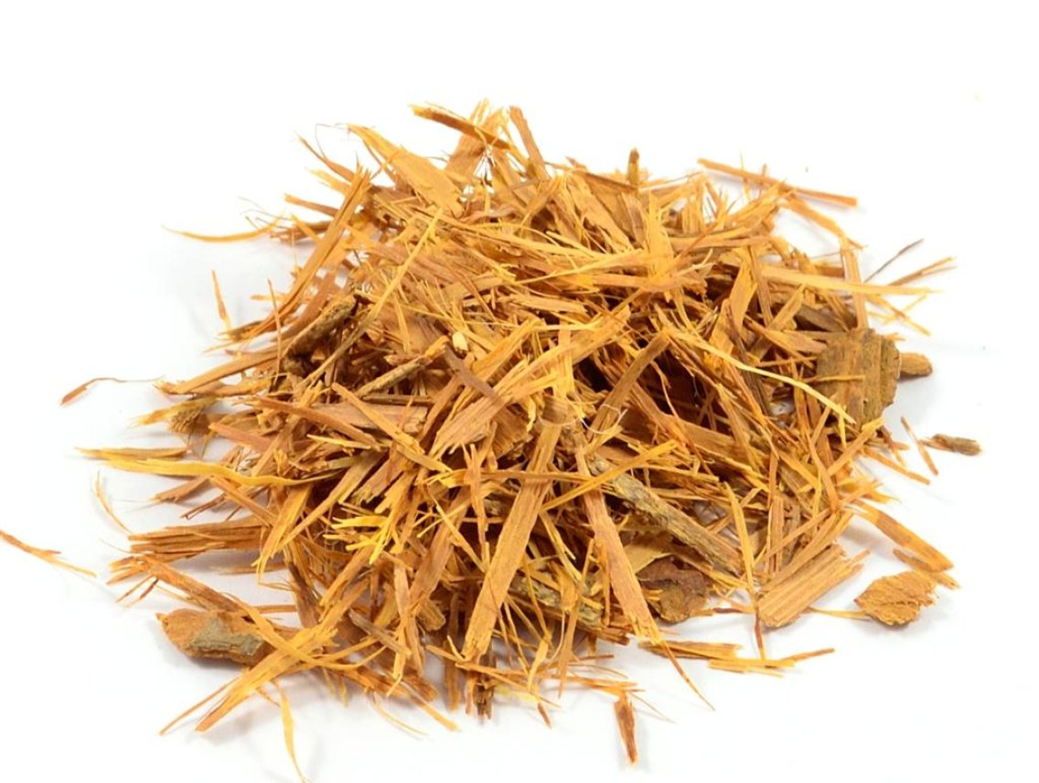 Catuaba - Erythroxylum catuaba