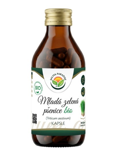 Mladá zelená pšenice kapsle BIO 190 ks