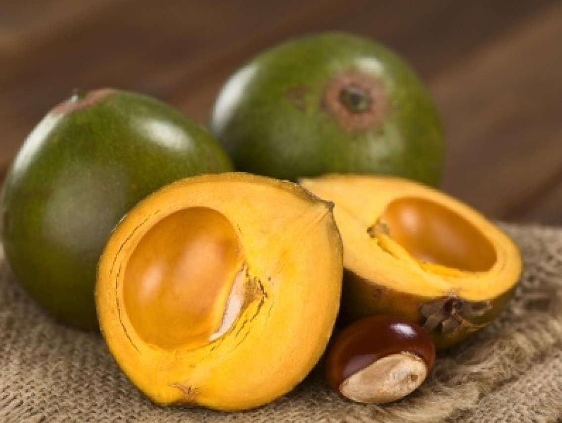 Lucuma - Pouteria lucuma