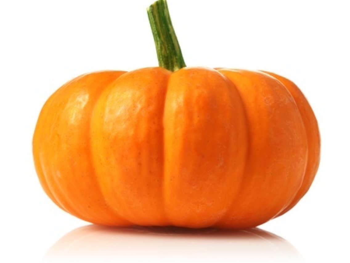 Tykev obecná - Cucurbita pepo