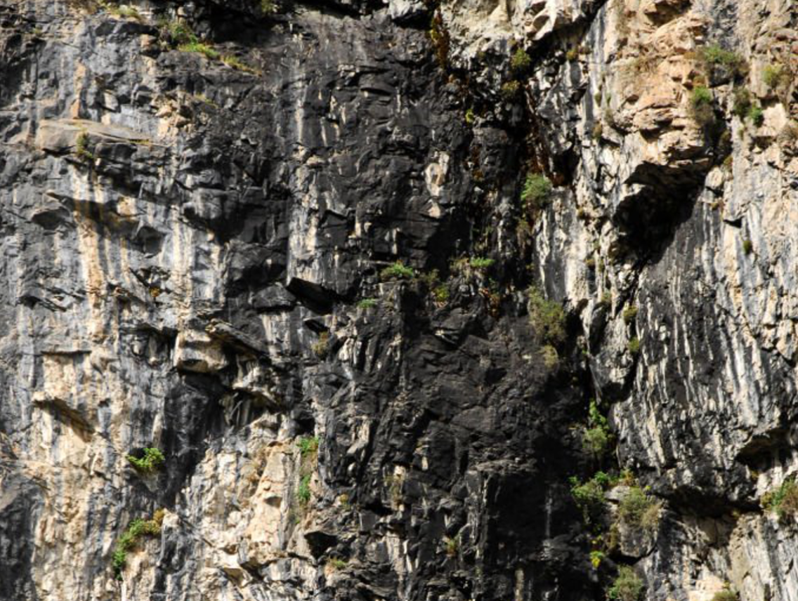 Shilajit mumio - Asphaltum punjabinum