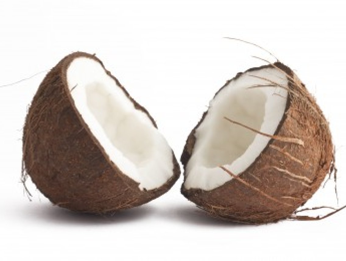 Kokosovník ořechoplodý - Cocos nucifera