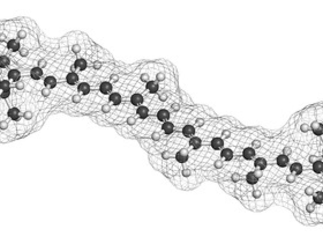 Haematococcus pluvialis - Astaxanthin