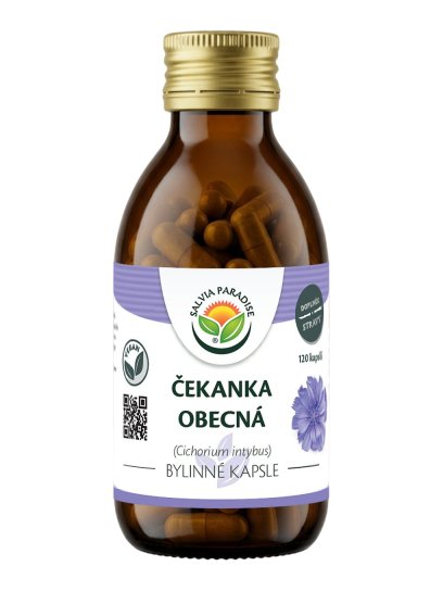 Čekanka kapsle 120 ks