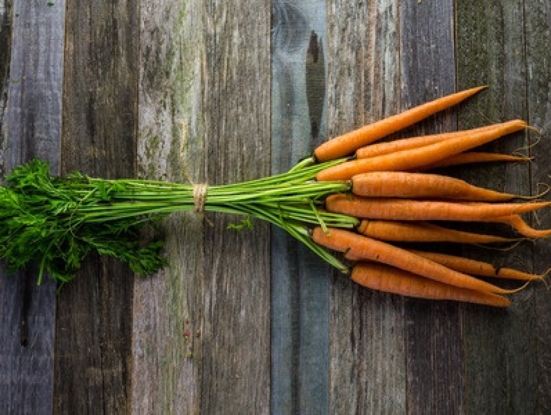 Mrkev obecná - Daucus carota