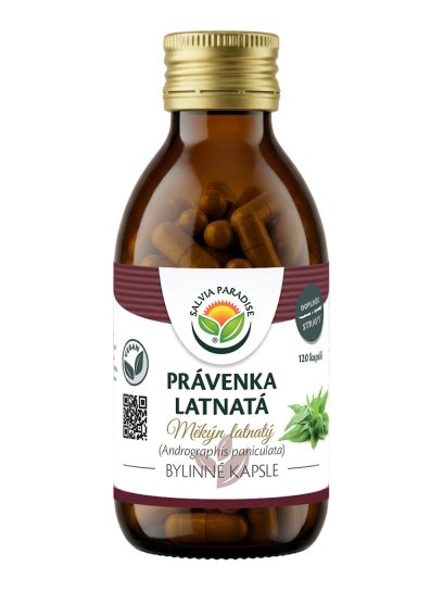 Právenka latnatá kapsle 120 ks