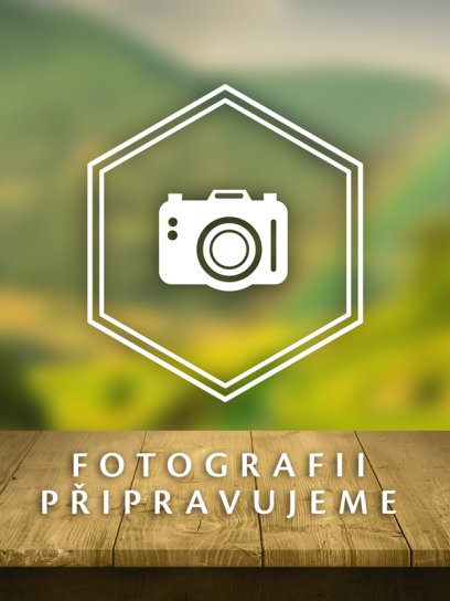 Tocosh prášek 