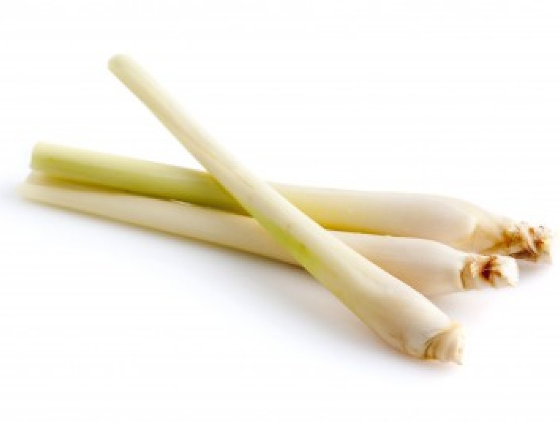 Citronelová tráva - Lemon grass