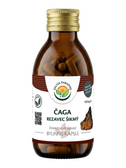 Čaga - rezavec šikmý kapsle 120 ks