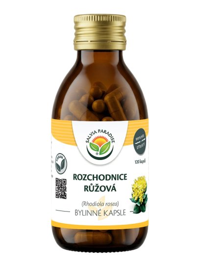 Rozchodnice růžová - Rhodiola kapsle 120 ks