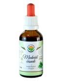 Medvědí česnek lyofilizovaný AF tinktura 50ml