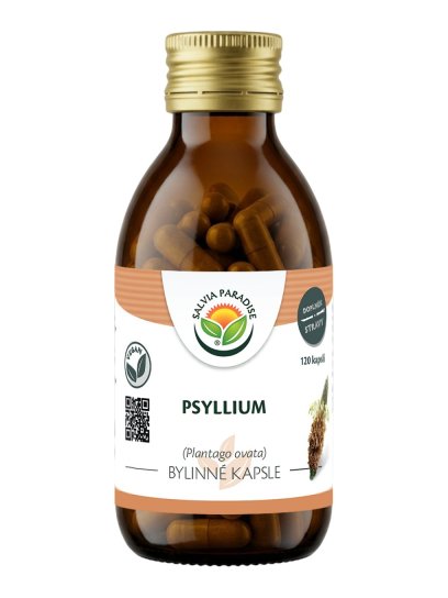Psyllium kapsle 120 ks