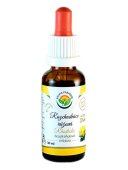 Rozchodnice růžová - Rhodiola AF tinktura 30 ml