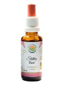 Štětka lesní AF tinktura 30 ml