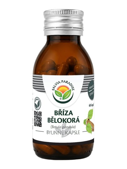 Bříza bělokorá kapsle 60 ks