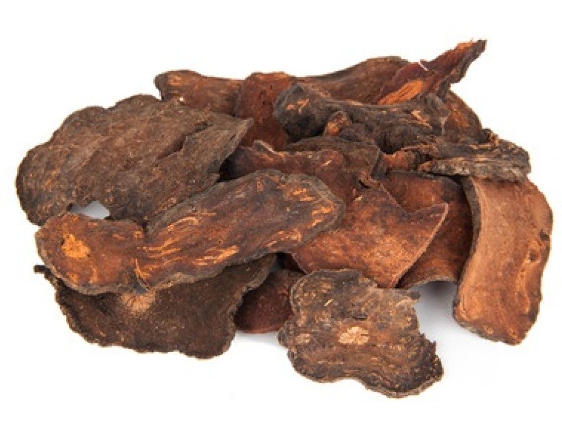 Rdesno mnohokvěté - Polygonum multiflorum