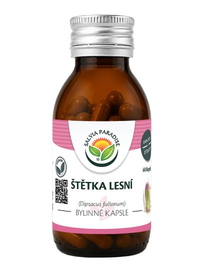 Štětka lesní kapsle 60 ks